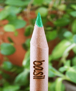 Sprout-Bleistift
