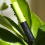 Der Bleistift Perpetua