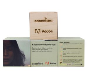 iGreen Cube für Adobe & Accenture