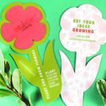 Blumen aus pflanzbarem Papier